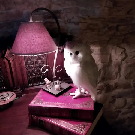 Le Relais Magique Des Sorciers Et Ses Enigmes * Servas (Gard)